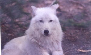 scan0002